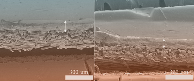Development of Thermo-Responsive and Salt-Adaptive Ultrafiltration Membranes Functionalized with PNIPAM-co-PDMAC Copolymer