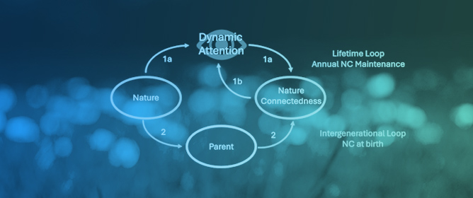 Modelling Human-Nature Relationships from 1800 to 2020 and Beyond