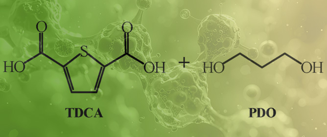 In Situ Synthesis, Crystallization Behavior, and Physical Properties of Biobased Poly(propyl thiophenedicarboxylate)/Multi-Walled Carbon Nanotubes Composites