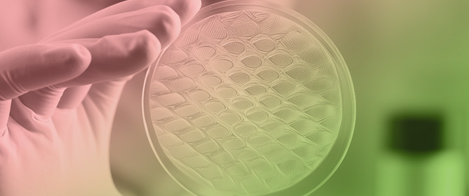 Biopolymers in Biotechnology and Tissue Engineering: A Comprehensive Review