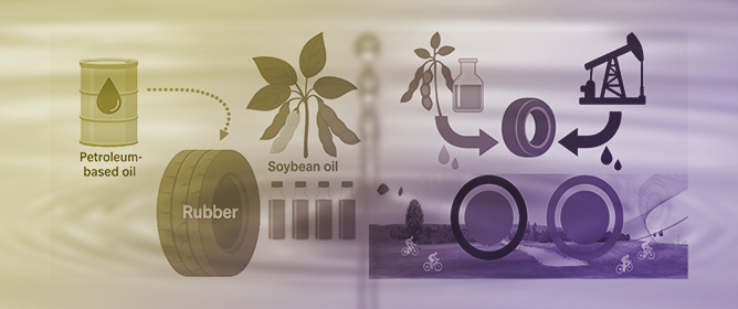 Sustainable Substitution of Petroleum-Based Processing Oils with Soybean-Derived Alternatives in Styrene&ndash;Butadiene Rubber: Effects on Processing Behavior and Mechanical Properties