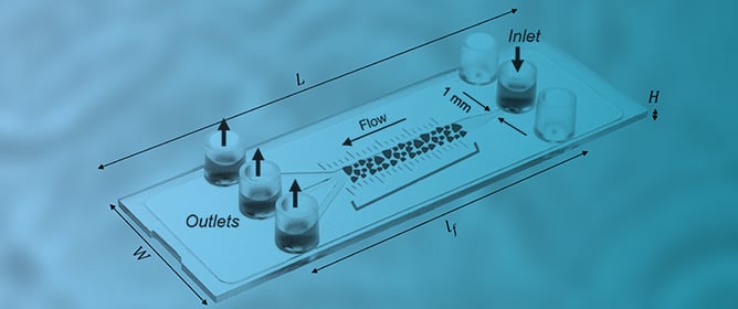 Evaluation of Flow-Induced Shear in a Porous Microfluidic Slide: CFD Analysis and Experimental Investigation