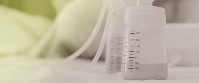 Human Breast Milk as a Biological Matrix for Assessing Maternal and Environmental Exposure to Dioxins and Dioxin-like Polychlorinated Biphenyls: A Narrative Review of Determinants