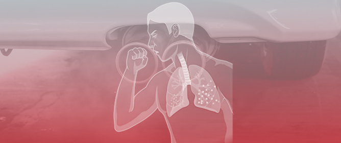 Molecular and Immunological Mechanisms Associated with Diesel Exhaust Exposure