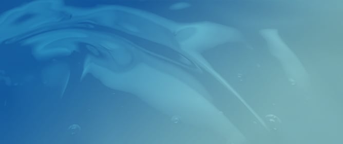 Impact of Collagen on the Rheological and Transport Properties of Agarose Hydrogels