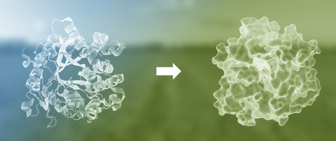 Plant Defense Proteins: Recent Discoveries and Applications