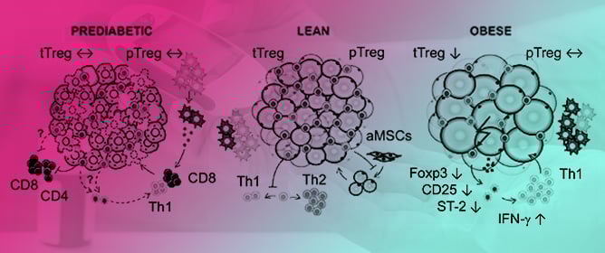 Developmental Origin and Functional Diversity of Foxp3<sup>+</sup> Regulatory T Cells in Diabetes and Obesity