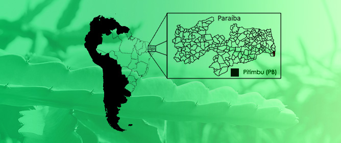 Morphology of Diaspores, Seed Germination, and Phenology of <em>Cereus fernambucensis</em>