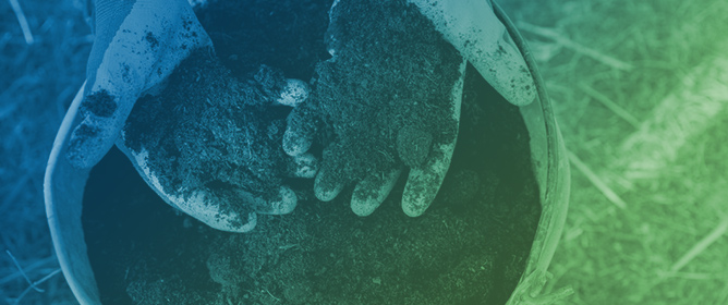 The Use of Carbonate-Clay Flour, Sewage Sludge and Waste Sulfate Sulfur as Fertilizer Agents