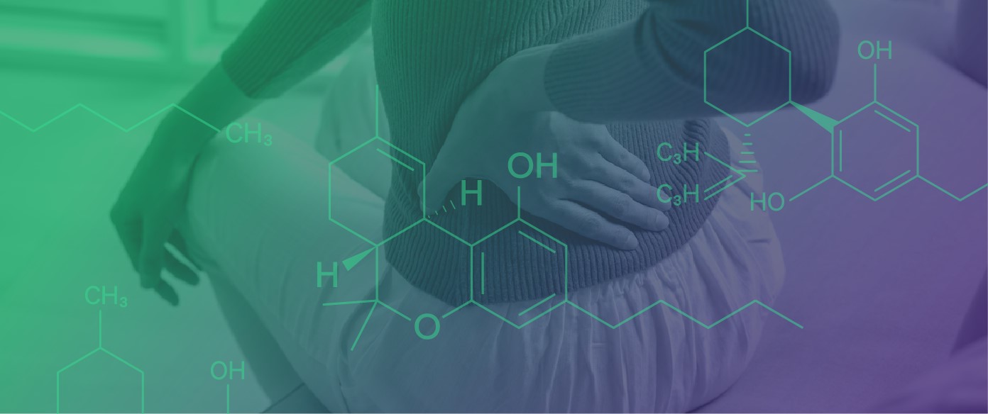 Medical Cannabis Use and Healthcare Utilization Among Patients with Chronic Pain: A Causal Inference Analysis Using TMLE
