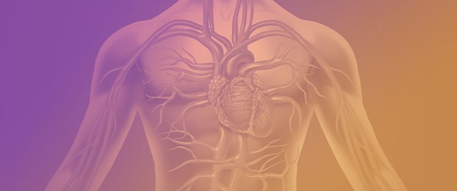 Mid-Term Recovery of Right Ventricular Function and Improvement of Left Ventricular Function After Da Silva Cone Procedure for Ebstein Anomaly