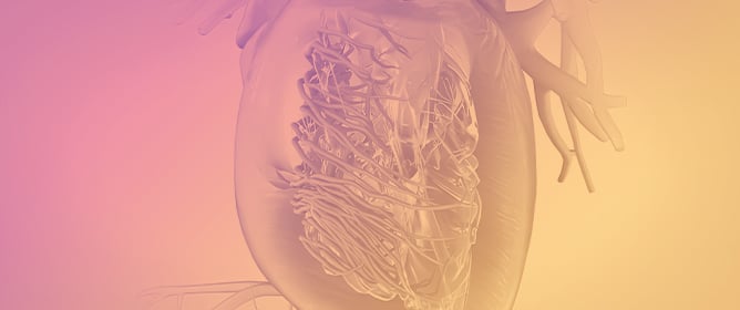 Late Gadolinium Enhancement Variation in Asymptomatic Individuals: Comparison with Dilated Cardiomyopathy