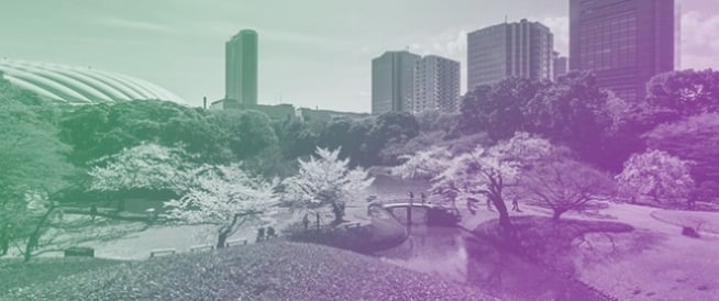 Thinking with: Relationality and Lively Connections Within Urbanised Outdoor Community Environments