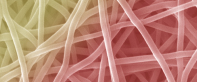 Bioabsorbable Poly(vinyl alcohol)&ndash;Citric Acid Dressings: Wound Healing Studies in an Experimental In Vivo Model