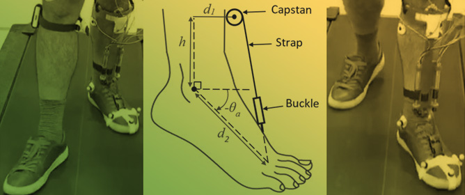 Biomechanical Proof of a Speed-Adaptive AFO for Foot Drop