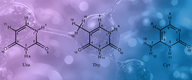 Changes in Thermodynamic Parameters Induced by Pyrimidine Nucleic Bases Forming Complexes with Amino Acids and Peptides in a Buffer Solution at pH = 7.4