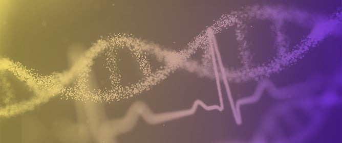 Desmosomal Versus Non-Desmosomal Arrhythmogenic Cardiomyopathies: A State-of-the-Art Review