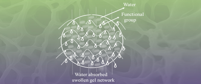 Effective Hydrogel Surfaces for Adsorption of Pharmaceutical and Organic Pollutants&mdash;A Mini Review