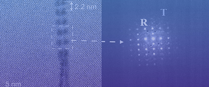 SHG Imaging of Strain-Induced Domain Evolution in SrTiO<sub>3</sub> Bicrystals