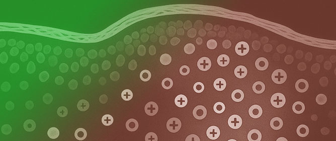 Dermatopathological Challenges in Objectively Characterizing Immunotherapy Response in Mycosis Fungoides