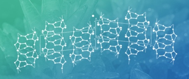 The Missing Structures of Pasteur&rsquo;s Aspartates