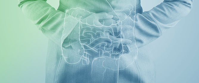 The Role of Gut Microbiota in Gastrointestinal Immune Homeostasis and Inflammation: Implications for Inflammatory Bowel Disease