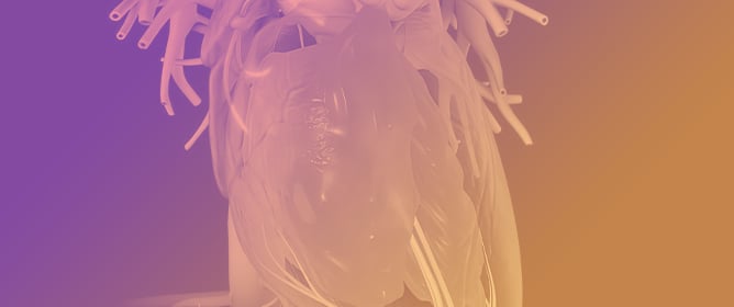 Atrioventricular Node Dysfunction in Heart Failure: New Horizons from Pathophysiology to Therapeutic Perspectives