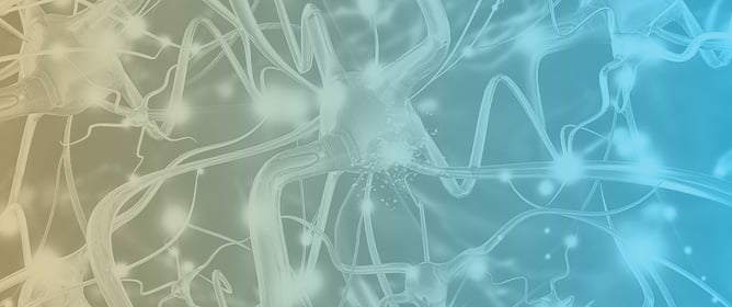 Directed Message-Passing Neural Networks for Gas Chromatography