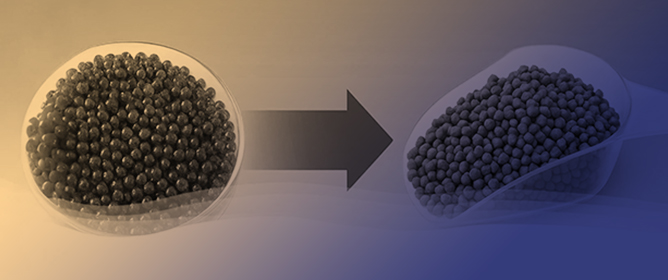 Cellular Solutions: Evaluating Single-Cell Proteins as Sustainable Feed Alternatives in Aquaculture