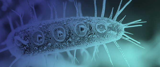 Biotechnology of Extremophiles: Solutions, Challenges and Advancements