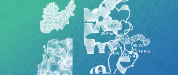 Structural Analysis of PlyKp104, a Novel Phage Endoysin