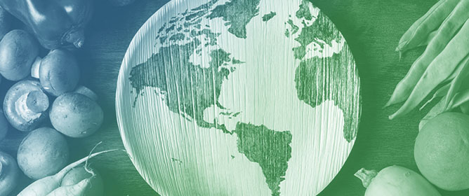 Assessing G20 Nations Agri-Food Competitiveness