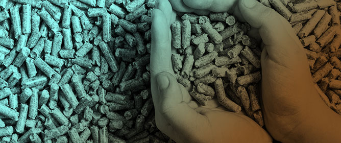 Analysis of Mechanical Durability, Hydrophobicity, Pyrolysis and Combustion Properties of Solid Biofuel Pellets Made from Mildly Torrefied Biomass