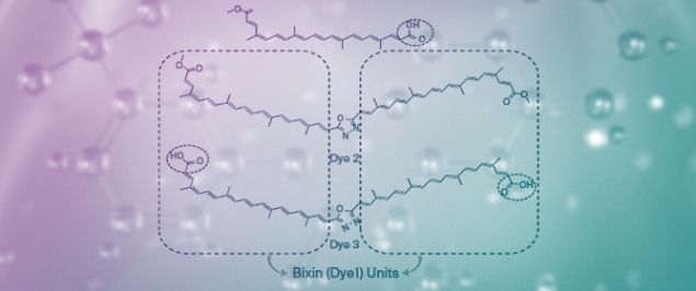 Studies on a New 1,3,4-Oxadiazole Bixin Dimer for Potential Application in Dye-Sensitized Solar Cells