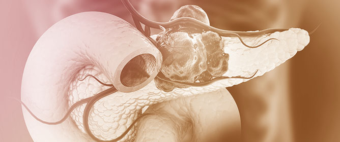 Endoscopic Ultrasound-Guided Drainage for Post-Pancreatitis and Post-Surgical Peripancreatic Collections: A Retrospective Evaluation of Outcomes and Predictors of Success