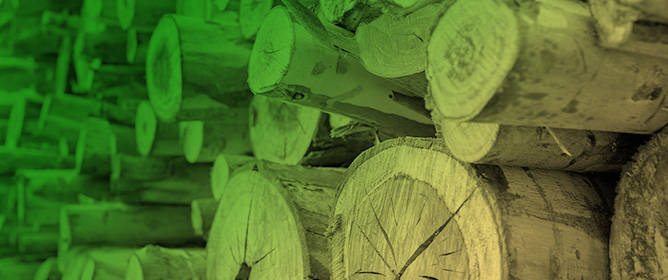 Prediction of Exotic Hardwood Carbon for Use in the New Zealand Emissions Trading Scheme