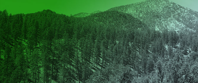 Multi-Annual Dendroclimatic Patterns for the Desert National Wildlife Refuge, Southern Nevada, USA