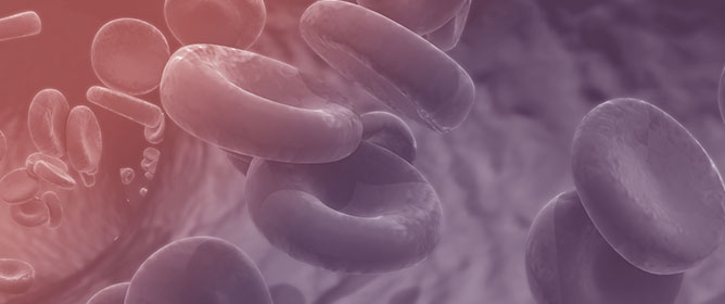 Cardiorenal Syndrome in the Elderly: Challenges and Considerations