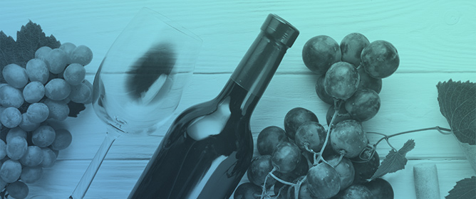 The European Wine Tourism Charter and Its Link with Wine Museums in Spain