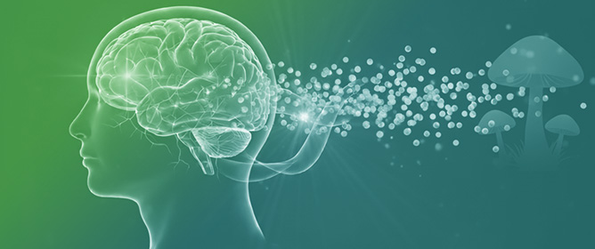 Psilocybin Use in an Intercollegiate Athlete with Persisting Symptoms After Concussion: A Case Report