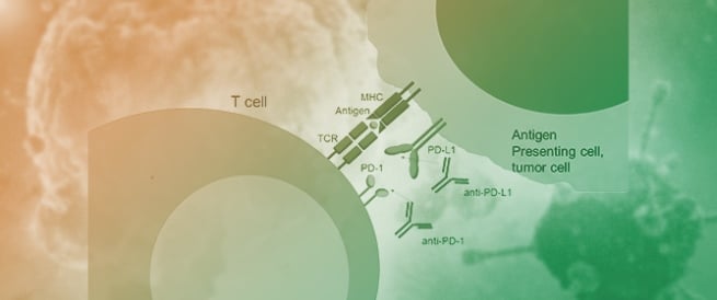 Assessing the Pharmacological and Pharmacogenomic Data of PD-1/PD-L1 Inhibitors to Enhance Cancer Immunotherapy Outcomes in the Clinical Setting