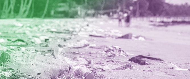 Assessment of Organic Pollutants Desorbed from Plastic Litter Items Stranded on Cadiz Beaches (SW Spain)