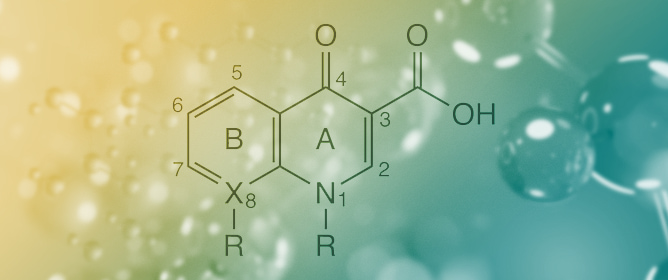Phototoxicity of Quinolones and Fluoroquinolones: A Mechanistic Review About Photophysical and Photochemical Pathways