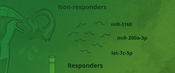 Salivary MicroRNAs as Non-Invasive Biomarkers for Endometriosis and Therapy Response