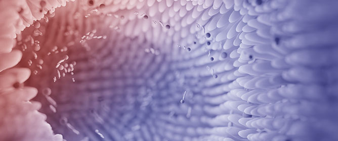 Physical Activity and Metabolic Disorders&mdash;What Does Gut Microbiota Have to Do with It?