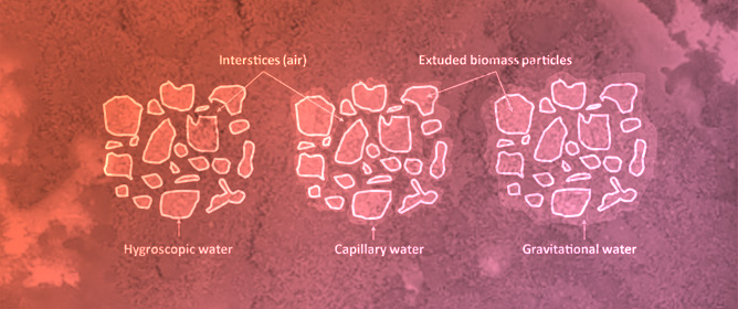 Extrusion-Biodelignification Approach for Biomass Pretreatment