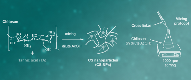 Preparation and Physicochemical Evaluation of Ionically Cross-Linked Chitosan Nanoparticles Intended for Agricultural Use