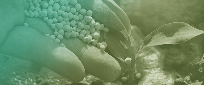 Assessment of Different Methods to Determine NH<sub>3</sub> Emissions from Small Field Plots After Fertilization