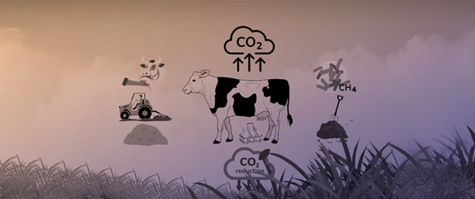 The Carbon Footprint of Milk Production on a Farm