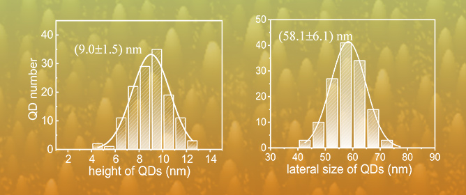Optical Characterization of the Interplay Between Carrier Localization and Carrier Injection in Self-Assembled GaSb/GaAs Quantum Dots